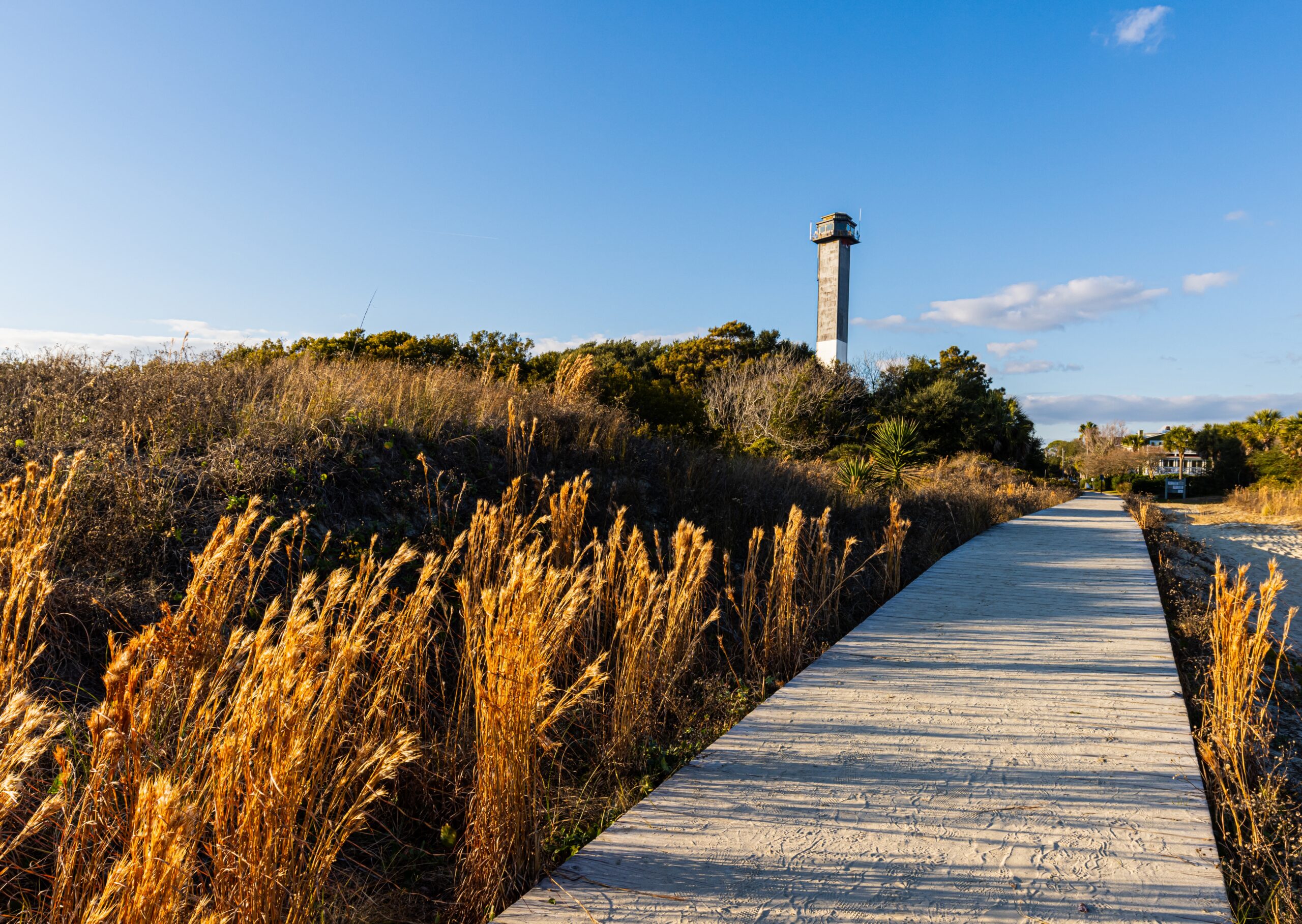 The,Sand,Dunes,Of,Station,18,Beach,And,Sullivan's,Island