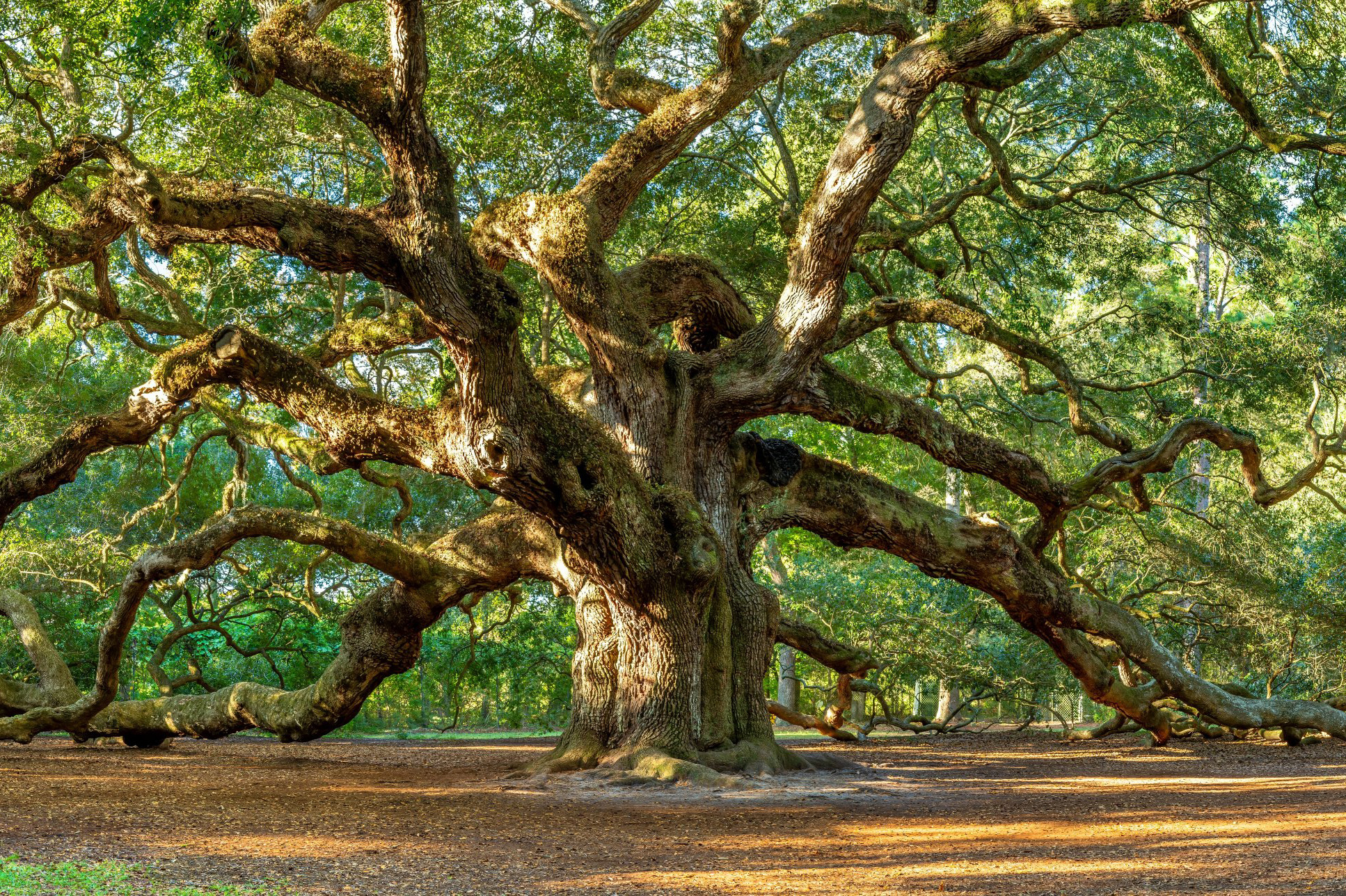 shutterstock_2416136039_2